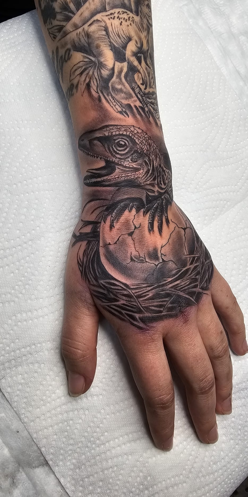 Jurassic World Tattoo – Dino Baby Raptor im Nest, detailreiches Hand- und Armtattoo – Saints Tattoo Pirna